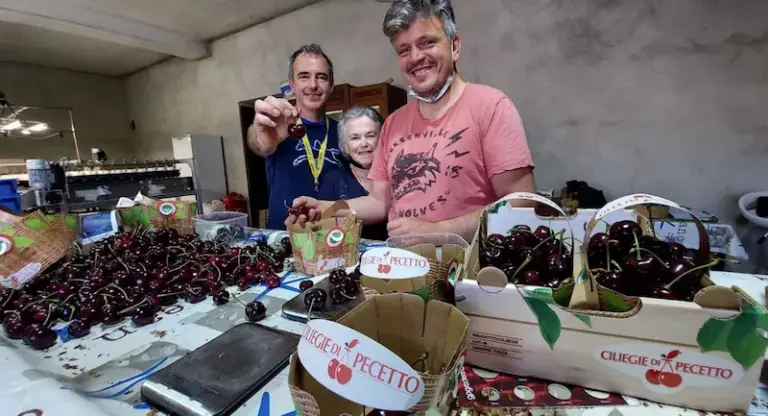 Cascina canape pecetto