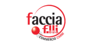 Impianto fotovoltaico realizzato per Faccia F.lli S.r.l.